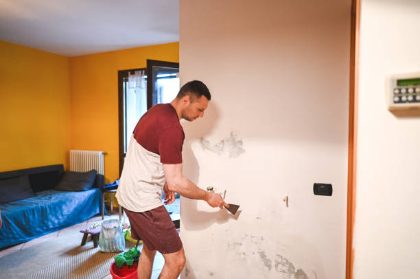 Best Localized Mold Remediation (e.g., coastal areas, humid climates) in Tilden, NE